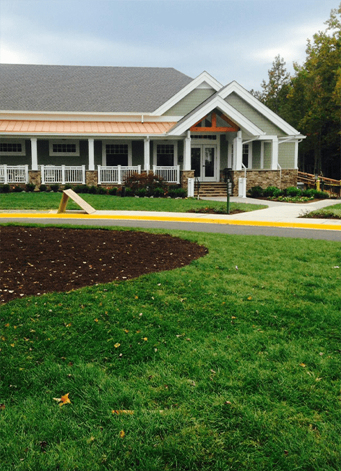 RST Tall Fescue